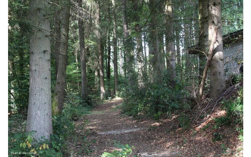 Das gut sichtbare Hohlweg