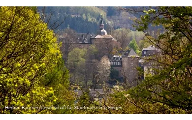 Blick zum Oberen Schloss aus Richtung Tiergarten