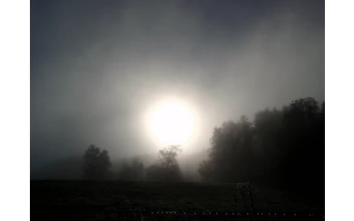 Nebelsonne Foto Susanne Thomas
