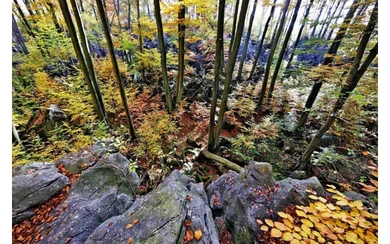 Felsenmeer Herbst Foto Pressestelle MK.jpg