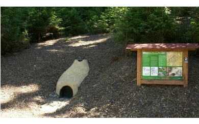 Siegen-Achenbach_Rennofen_Foto Bernd Heinzerling.JPG