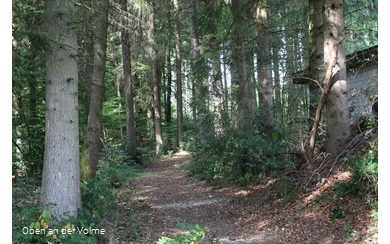 Das gut sichtbare Hohlweg