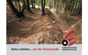 Teaser Natur erleben...Schluesen Foot Regine rottwinkel.jpg