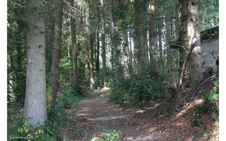 Das gut sichtbare Hohlweg