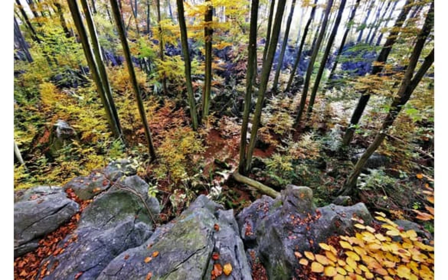 Felsenmeer Herbst Foto Pressestelle MK.jpg