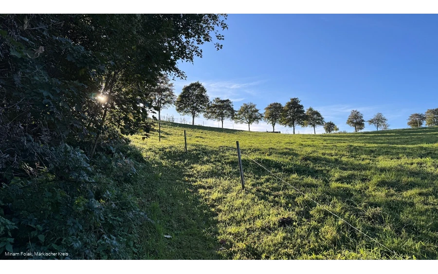 Wiesenpfad unterhalb der Meinhardus-Mattenschanzen
