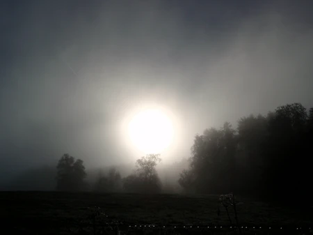 Nebelsonne Foto Susanne Thomas