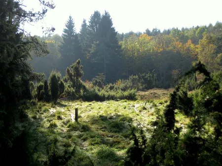 Burbach_Landschaft.jpg