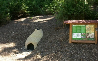 Siegen-Achenbach_Rennofen_Foto Bernd Heinzerling.JPG