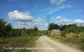 Ameisenweg vor Mausbach