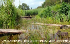 Naturschutz- & Naherholungsgebiet Muckenbruch  Moorentnehme Naturschutz- & Naherholungsgebiet Muckenbruch  Moorentnehme