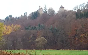 20201112_150036.jpg