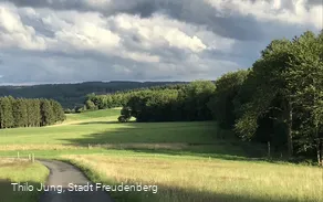 Blick Richtung Giebelwald