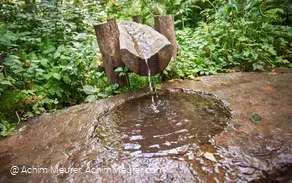 Das Wasser der Siegquelle in Netphen