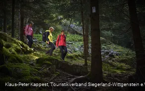 Premium-Wanderweg Via Celtica