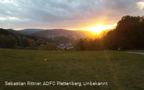 Sehnsuchtsbirke Plettenberg