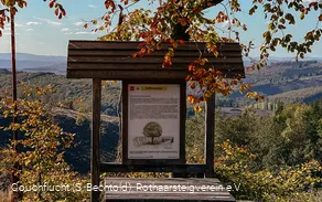 Rastplatz Kaffeebuche auf dem Rothaarsteig im Herbst