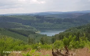Blick auf die Obernautalsperre vom Keltenweg