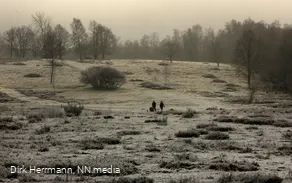 Die Trupbacher Heide in Winterstimmung