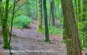 Laubwald historischer Tiergarten