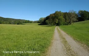 Wegeverlauf über weite, grüne Wiesen