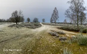 Die Trupbacher Heide in Winterstimmung