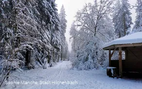Schutzhütte am Dreiherrenstein