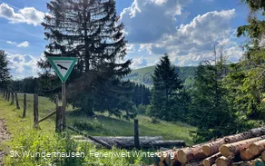 Naturschutzgebiet am W1