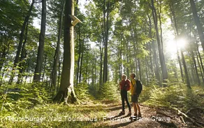 Blankenrode-HörmuseumTeutoburger-Wald-Tourismus-F-Grawe (32)_klein.jpg