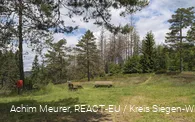 Mittelalterliche Bergbausiedlung Altenberg