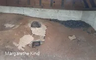 Rennofen Gut Berentrop