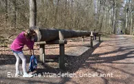 Tiergarten_Mädchen schaut durch Baumstamm