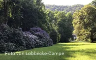 Park