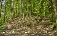 Latènezeitlicher Verhüttungsplatz Gerhardseifen