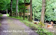 Aussichtskanzel und Wildfütterung