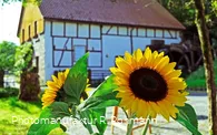 Heesfelder Mühle