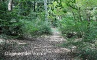 Hohlweg Haumche im Stadtgebiet von Meinerzhagen