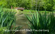 Gambachsweiher