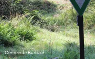 Alte Mainzer Landstraße am Naturschutzgebiet Wacholderheide Gambach