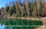 Das Ufer der Genkeltalsperre im Frühjahr