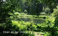 Die Mühlenteiche