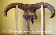 Lohner Mühle/ABU Soest
