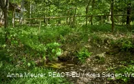 Ederquelle