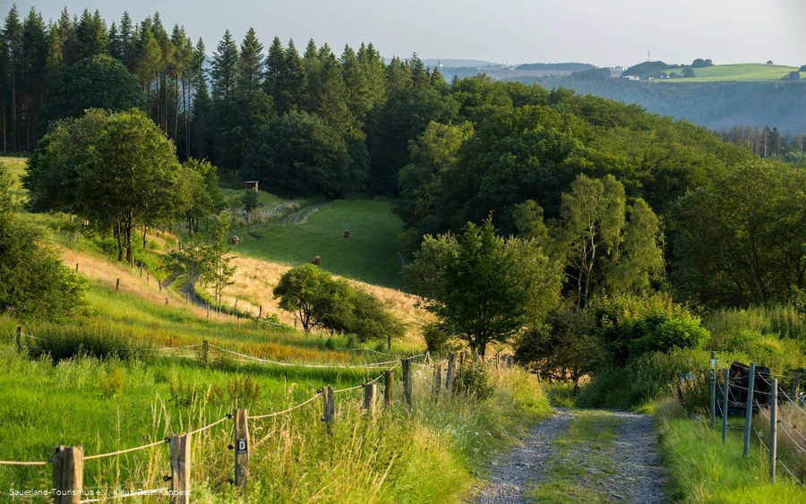 Weg hinauf von Altena zum Hegenscheid