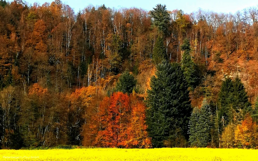 Teindeln, Plettenberg