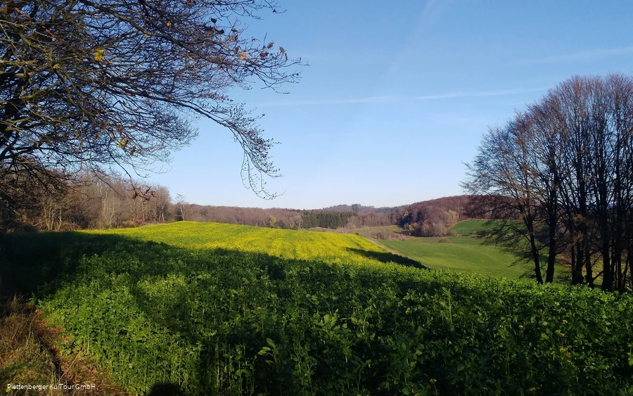 Sonneborn, Plettenberg