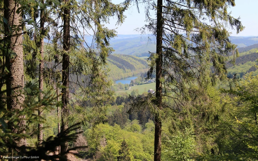 Blick auf die Oestertalsperre vom Sauerland-Höhenflug