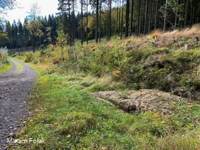 Der Hohlweg mit der Karrenspur in der Nähe der Lis