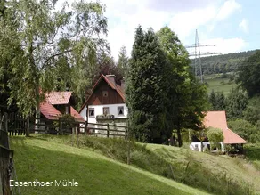 Vogelpflegestation für Greifvögel und Eulen