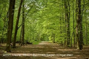 Erlebniswald Historischer Tiergarten Siegen